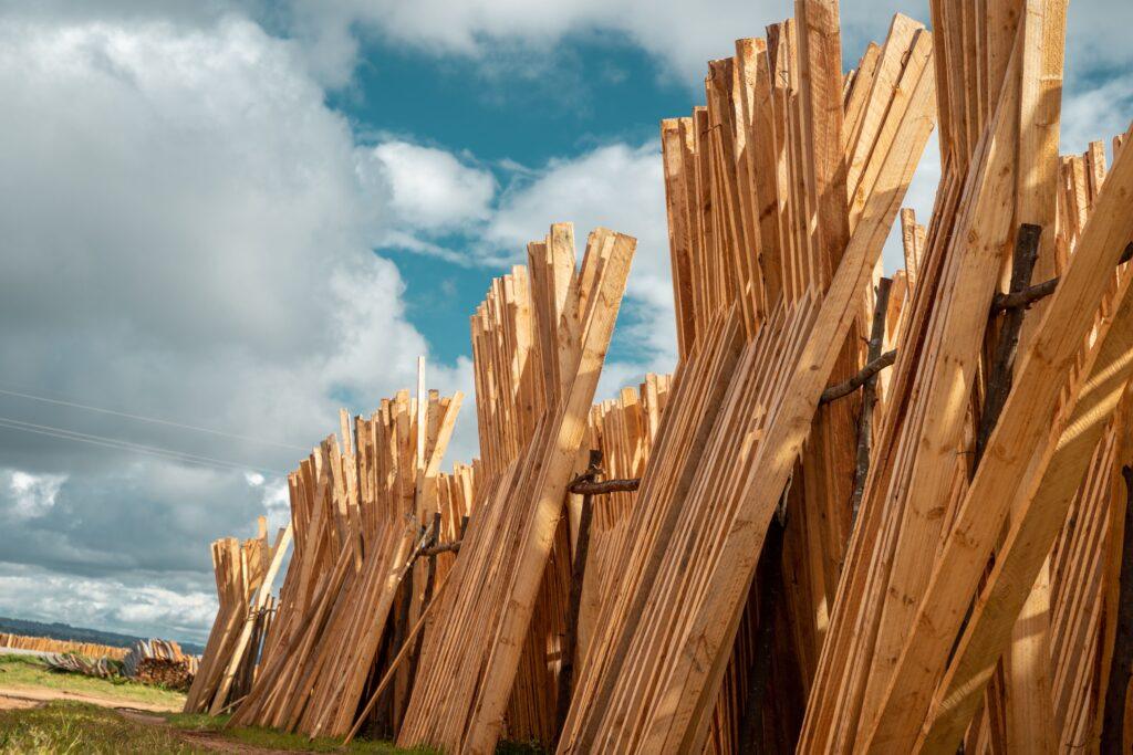 the piles of wood are placed to dry in iringa regi 2023 11 27 05 07 07 utc Clayton Industries – Advanced Steam Boiler Technology