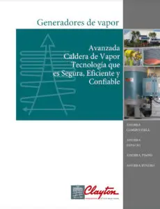 Generadores de Vapor en espanol